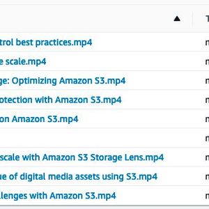 Diese MP4-Dateien aus den S3-Buckets sind jetzt wie in einem Dateisystem zu sehen.(Bild:  AWS)