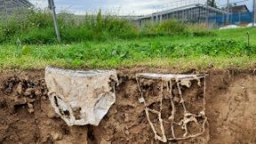 Leicht oder stark zersetzt? Je aktiver die Bodenlebewesen, desto schneller der Abbau des Baumwollmaterials (Bild: Priska Koller, Agroscope)