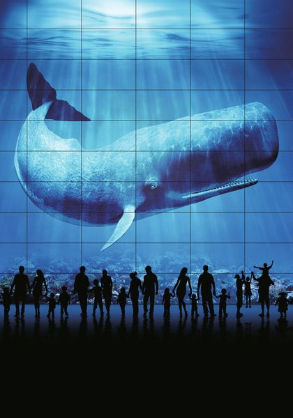 ...und im Unterwasser-Aquarium. (Bild: Benq)