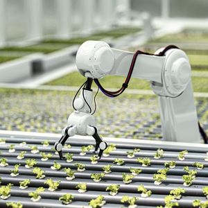 Roboter kommen in der landwirtschaftlichen Produktion immer stärker zum Einsatz.(Bild:  maxon)