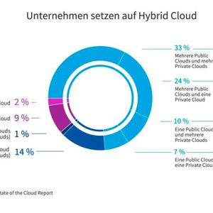 Unternehmen setzen weiter auf Hybrid-IT und Multicloud.(Bild:  Flexera)