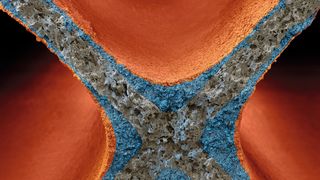 Detailaufnahme eines Drei-Wege-Katalysators:  Die Basf-Anlage in Cinderford dient hauptsächlich der Rückgewinnung seltener Metalle aus Katalysator-Schrott. (Bild: BASF / eye of science)