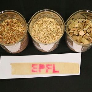The EPFL logo printed in lignin-based thermal paper.(Source:  2025 EPFL/J. Luterbacher CC-BY-SA 4.0)