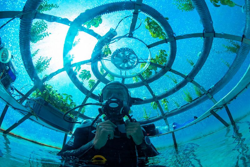 Die Biosphären von Nemo's Garden machen sich die positiven Umweltfaktoren des Ozeans zunutze - Temperaturstabilität, Frischwassererzeugung durch Verdunstung, CO2-Absorption und natürlicher Schutz vor Schädlingen - und schaffen so ein ideales Umfeld für den Anbau aller Arten von Produkten.  (Bild: Siemens Digital Industries Software)