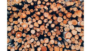 Chemical conversion of lignin facilitates the production of pharmaceuticals from wood waste. (Source: free licensed)