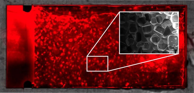 Die schwammähnliche Struktur des Chips (in grau) wurde mit Salzkristallen erzeugt. Die roten Mikroorganismen besiedeln sie im Labor innerhalb weniger Tage.