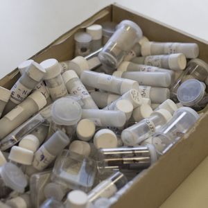 Abb. 2: Mit vielen unterschiedlichen thermoelektrischen Materialien arbeitet man im CD-Labor von Prof. Ernst Bauer.