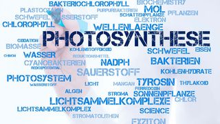 Bei der Photosynthese werden eine enorm viele Faktoren aufeinander abgestimmt.  (© Uli-B - Fotolia)