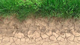 Prof. Dr. Claus Mattheck vom KIT ist u.a. Experte für Bauteiloptimierung und gilt als Vorreiter der Bionik. Hier zeigt er, welche Lehren aus der Rissbildung auf trockenem Boden gezogen werden können.  (Mattheck/KIT)