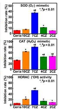 Figure 2: Ceria-zirconia nanoparticle (7CZ) have multi-antioxidant effects that mimic the function of the antioxidant enzymes superoxide dismutase (SOD) and catalase (CAT), and the capacity to remove hydroxyl radicals (Horac).  (Institute for Basic Science)