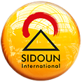 iilse-logo-web (SIDOUN International GmbH)