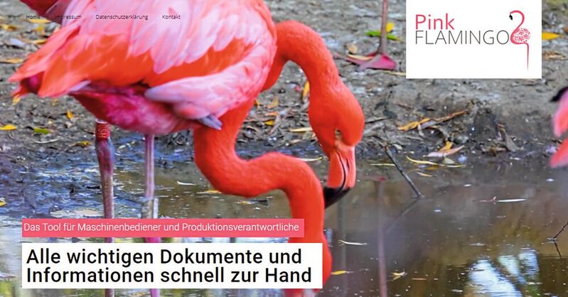 Basis des Pink Flamingo ist ein Dokumentenmanagementsystem, in dem z.B. Maschinenstammdaten, Wartungshandbücher, Bedienungsanleitungen, Wartungsprotokolle und andere maschinenbezogene Unterlagen digital abgespeichert werden. 