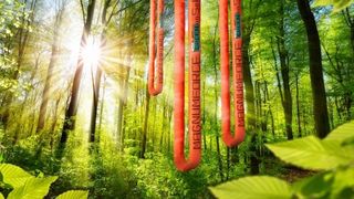 Mit der Magnumforce Green hat Spanset erstmals eine Schwerlast-Rundschlinge geschaffen, die aus nachwachsendem Fasermaterial hergestellt wird. Bis zu 100 Tonnen können damit gehalten werden. (Bild: Spanset)