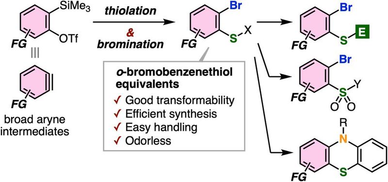Synthesizing o-bromobenzenethiols from aryne intermediates: This innovative method involves bromothiolation of aryne intermediates, resulting in the formation of highly functional o-bromobenzenethiols, which can be subsequently used to prepare diverse organosulfur compounds.