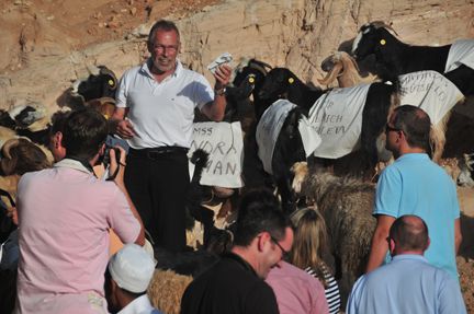 Die Hotelschlüssel der Gäste für das Hotel in Petra waren am Halsband der Ziegen angebracht. Jeder Teilnehmer musste seine persönliche Ziege suchen, um so an seinen Zimmerschlüssel zu kommen.    (Archiv: Vogel Business Media)