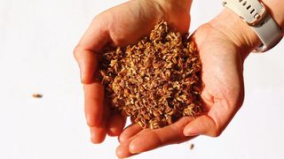 Chemiker der Uni Jena nutzen Biertreber als biologische Ressource für die Herstellung elektrochemischer Energiespeicher. (Bild: Christian Leibing)