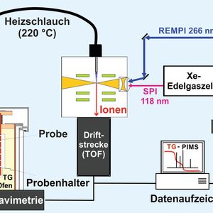 (Universität Rostock)