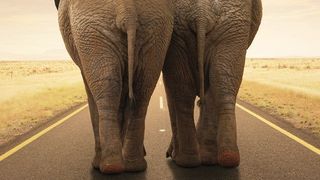  (© JohanSwanepoel - Fotolia)