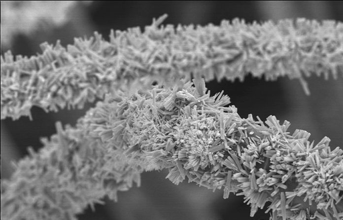 These nano scale wires are made with a semiconductor material that can speed up the process of photocatalytic oxidation, which breaks down plastic molecules.  (courtesy of Joydeep Dutta)
