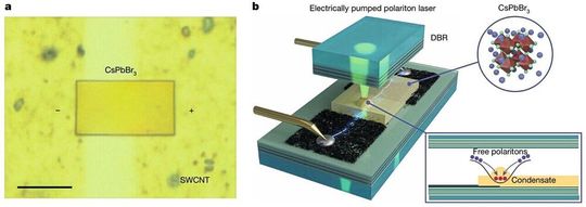 Schematischer Aufbau der Perowskit-basierten Polariton-Laserdiode: Als aktives Material dient das Halogenid-Perowskit CsPbBr₃. Die in (b) sichtbare Erhebung („Bump“) auf der Oberfläche markiert jene physikalische Defektstelle, an der die Kondensation der Polaritonen und das anschließende Lasing stattfinden.(Bild:  Nature 2026, DOI: 10.1038/s41586-026-10824-w)