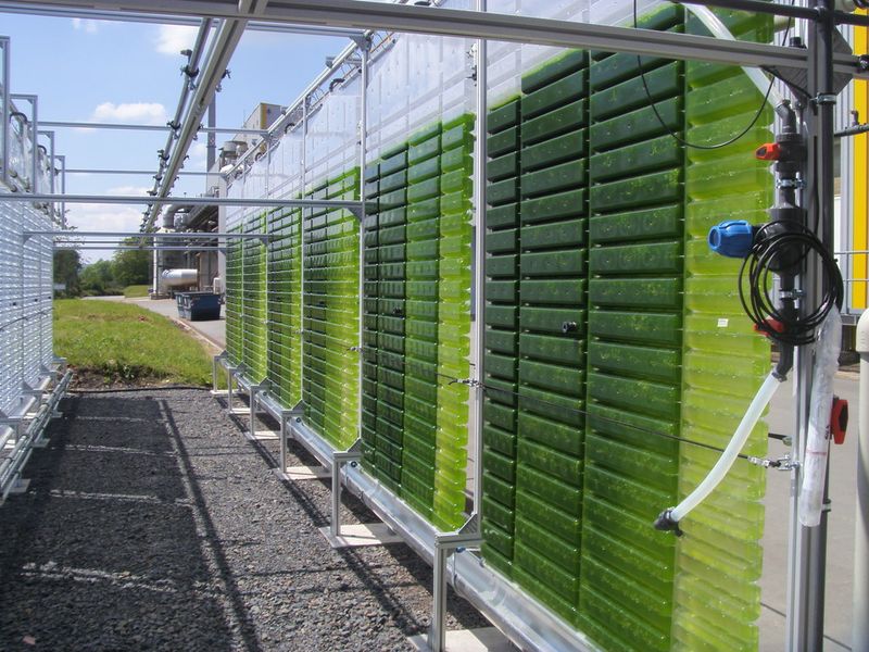 Die Algenkultivierungsanlage verfügt über sechs Reaktoren von jeweils 180 Litern. (Bild: Subitec)