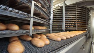 de-2023-03-805-aufmacher-staufrderer-adobestock-47880484-sema (Quelle: SemA/AdobeStock)