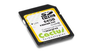 cactus_Technologies_240_sd ()