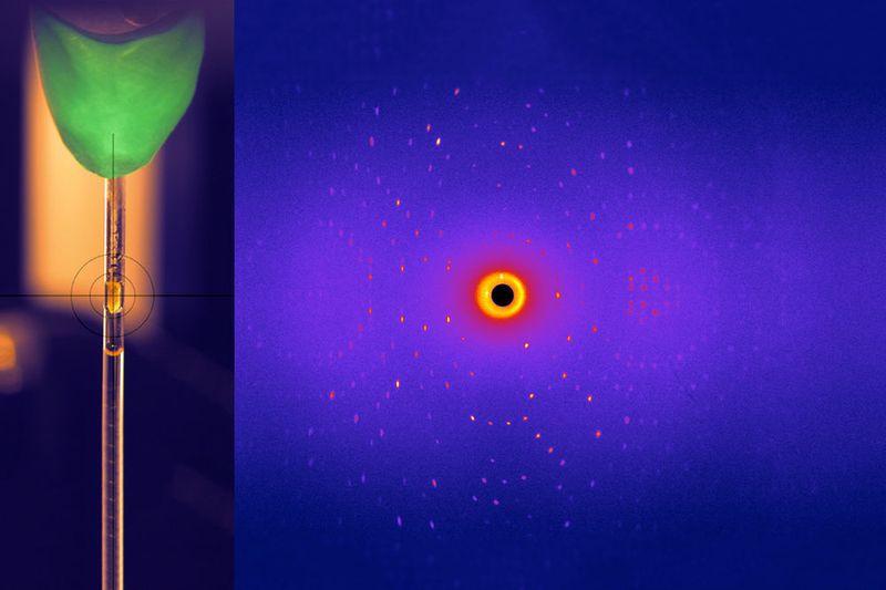 Glykosidasekristall (links), mit seinem Beugungsbild, wie es bei der Neutronenstreuung am Instrument BioDiff entsteht. (Bild: TUM)