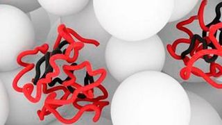 Zustand des Proteins α-Synuclein in lebenden, gesunden Zellen (Ausschnitt) ... (Bild: FMP Berlin)