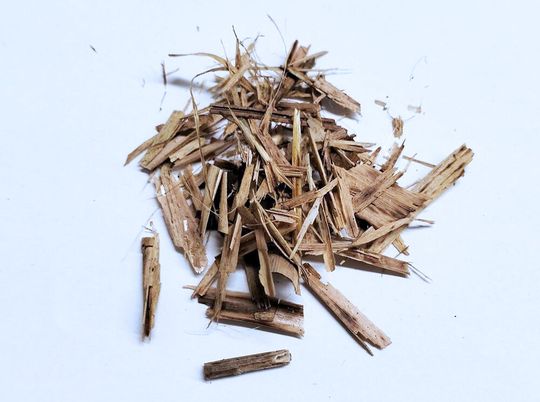 Im Vergleich zu Holz zeichnet sich Rohrglanzgras durch seinen niedrigeren Ligningehalt aus.(Bild:  © Fraunhofer IVV)