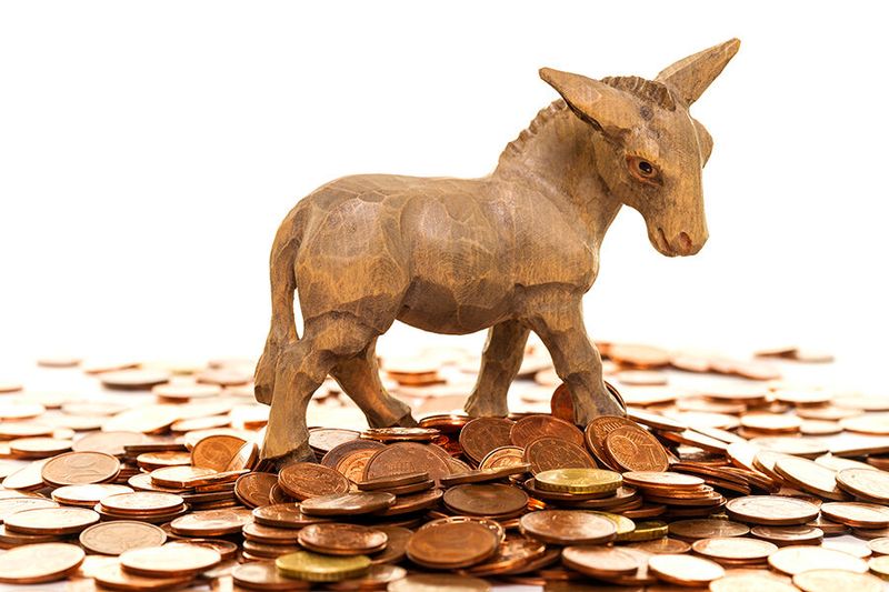 Die Goldesel (bis 500 kg) Eine sehr rare Spezies, die so selten in der Business-Welt vorkommt, dass sie noch niemand wirklich zu Gesicht bekommen hat. Trotzdem sind die Beliebtheitswerte der Goldesel nicht zu übertreffen – jedes Unternehmen hätte nämlich gerne einen solchen im Keller – dann würde so manches leichter fallen. (Bild: © MATTHIAS BUEHNER - stock.adobe.com)