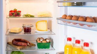 An heißen Tagen können sich im kalten Kühlschrank verstärkt Bakterien vermehren. (© wsf-f - Fotolia)