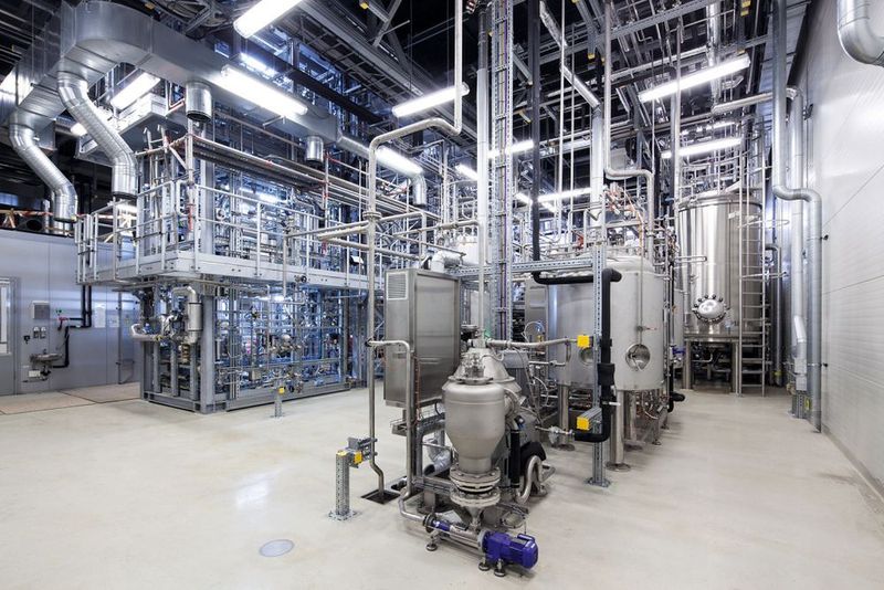 Übersicht: Aufreinigung, Inaktivierung, Fermentation (Gunter Binsack)