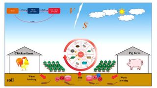 Heavy metals and antibiotic resistance genes in large-scale livestock farming environments: pollution characteristics, driving factors, and risks to humans.
 (Source: Wenbin Liu, Wenguang Zhou, Chenxi Fu, Jianfeng Yu, Gaijuan Hou, Meiyan Zhang, Liujie He & Huijun Ding)