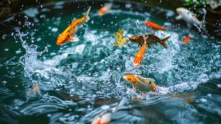 adobestock-999505392-ai-stock-house-programmatic-advertising-996x560v1 (Bild: AI Stock House / Adobe Stock)