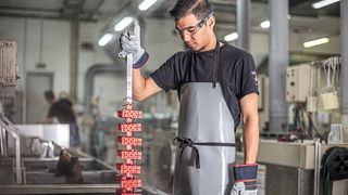 Oberflächentechniker beim Farbeloxieren. (Bild: Ellf GmbH)