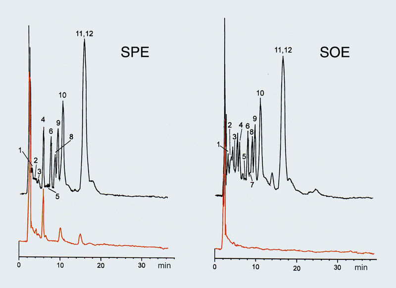 Abb.4: RP-HPLC-AD Chromatogramme einer auf dem Gelände einer ehemaligen Sprengstofffabrik entnommenen Grundwasserprobe.
Links: nach SPE (wie in Abb. 5); Rechts: nach SOE (wie in Abb.5); die jeweiligen Blindwert-Chromatogramme sind in roter Farbe darunter angeordnet. HPLC-Bedingungen: Säule: Glaskartusche, 20 cm x 3 mm i.D., Chromspher C18, 5µm; Eluent: 33 mM Phosphat-Puffer,
pH 5,9 : Methanol, 60 : 40; Fluss: 0,4 mL/min; Injektionsvolumen: 20 µL, Detektion: Amperometrisch, Detektor M 400 (Jasco,Groß-Umstadt), Potential: + 1100 mV. Komponenten: 1 = 2,4-DAT, 2 = 2,4-DA-6-NT, 3 = 4-NA, 4 = 3-NA,
5 = 2-NA, 6 = 2-M-3-NA, 7 = 4-MA, 8 = 4-M-3-NA, 9 = 2-M-5-NA, 10 = 3,5-DNA, 11 = 2-A-4,6-DNT, 12 = 4-A-2,5-DNT (Archiv: Vogel Business Media)