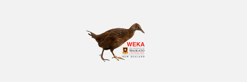 „Weka“ steht für „Waikato Environment for Knowledge Analysis“. Die Plattform ermöglicht auf Basis von Java einen schnellen Einstieg ins Machine Learning und in die Datenanalyse.