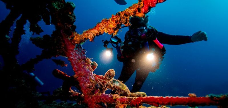 Antriebe, die beispielsweise in der Tiefsee zum Einsatz kommen, haben spezielle Anforderungen, die sich nicht über Standardsortimente realisieren lassen.(Bild:  frei lizenziert / Jack Drafahl /  Pixabay)