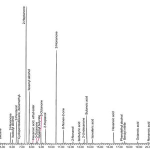 Abb. 5: Gesamtionenchromatogramm nach TF-SPME (3 Std., 40 °C) von Blauschimmelkäse.(Bild:  Gerstel)