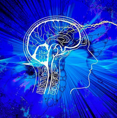 With neuroimaging, researchers observed that brain activity in the brain regions important for social perception is synchronized between different individuals when they watch movies depicting social situations. With neuroimaging, researchers observed that brain activity in the brain regions important for social perception is synchronized between different individuals when they watch movies depicting social situations.