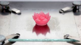 Um zu zeigen, dass sich feine, selbsttragende und überhängende Aerogel-Strukturen im 3D-Druck fertigen lassen, druckten die Forscher eine Lotusblüte. (Empa)