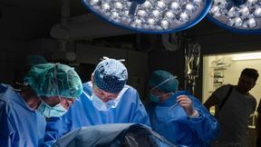 Chirurgen führen eine präklinische Studie mit der neuen Roboterplattform für die fetale Chirurgie durch. (Bild: Barbora Prekopova / Kinderspital Zürich)