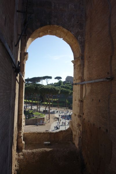 Die Pinienbäume sorgen für das südländische Flair in Rom. (Bild: IT-BUSINESS)