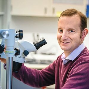 (© Tanja Läser für Insel Gruppe)