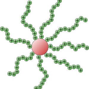 Abb. 1: Grundstruktur eines sternförmigen PDMAEMA-Moleküls. Von einem Zentrum gehen die angehängten, positiv geladenen Polymerketten ("Arme") in alle Richtungen. Jede Kette besteht aus Hunderten von Bausteinen, den Monomeren. Die positiven Ladungen binden die negativ geladenen DNA-Ketten. 