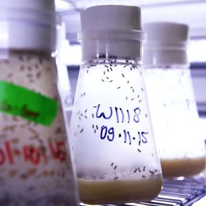 (Bild: Christian Urban, Universität Kiel)