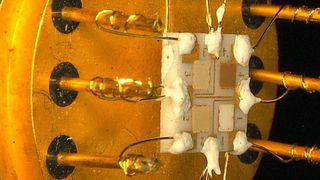 Kabelbrände detektieren: Der Sensor besteht aus vier Feldern mit unterschiedlichen Metalloxiden. Sie ändern ihren temperaturabhängigen elektrischen Widerstand bei Kontakt mit Gasen. (Bild: KIT/HsKA)