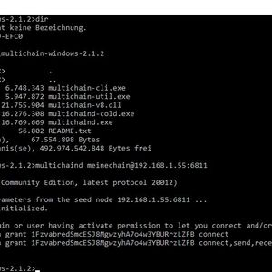 Erstellen weiterer Knoten für die Blockchain.(Bild:  Joos)