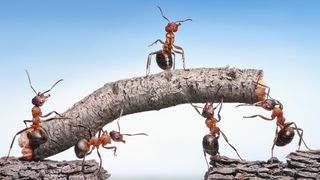 Göpel WEB2_2023 (GÖPEL electronic GmbH)